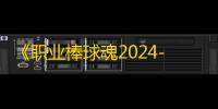 《职业棒球魂2024-2025》登顶日本PS5游戏排行榜，科乐美再创佳绩